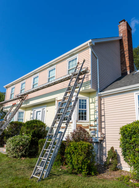 Best Steel Siding Installation  in Benson, AZ